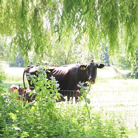Ferienhaus Heinrichs Cappeler Niederstrich エクステリア 写真
