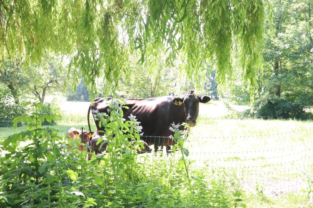 Ferienhaus Heinrichs Cappeler Niederstrich エクステリア 写真